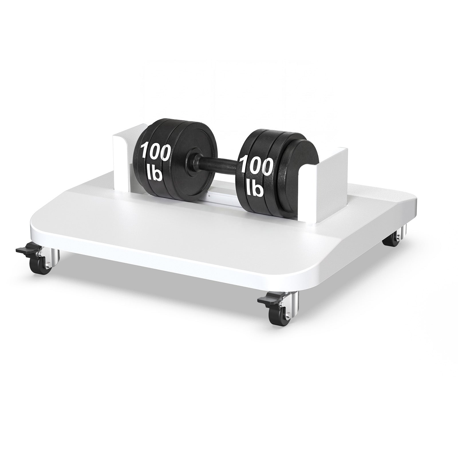 Floor Stand for HilaxPro 1600